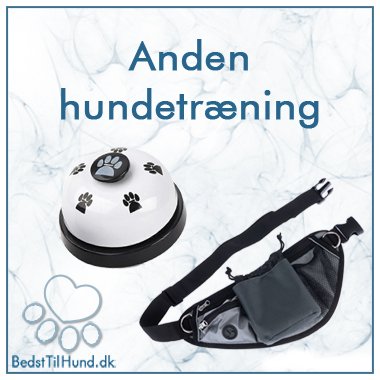Anden Hundetr&aelig;ning