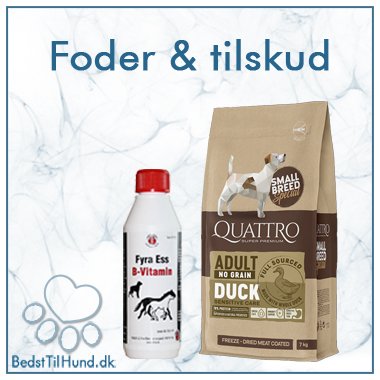 Foder
