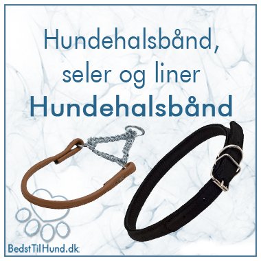 Hundehalsb&aring;nd, seler og liner