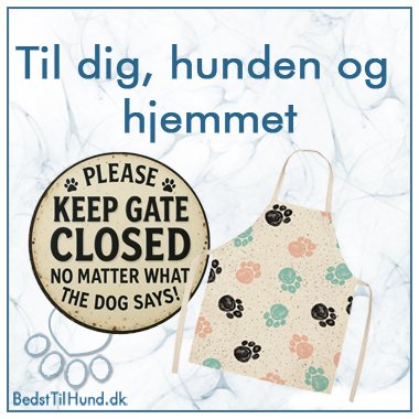 Til dig, Hunden og hjemmet