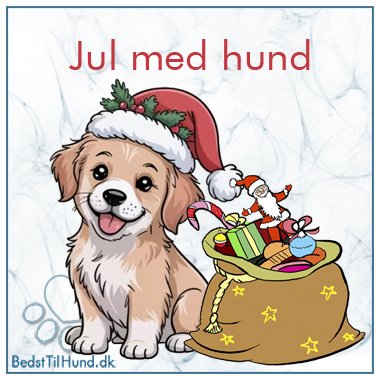 Jul med hund