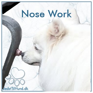 Nose Work udstyr og tr&aelig;ning