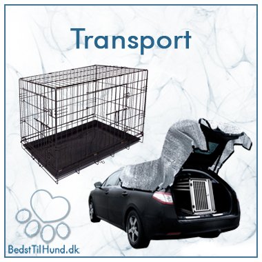 Transport