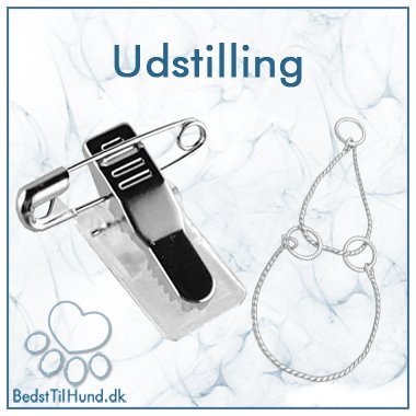 Udstilling