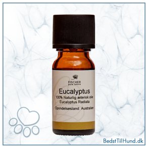 Eukalyptus Olie, 10ml, FNP