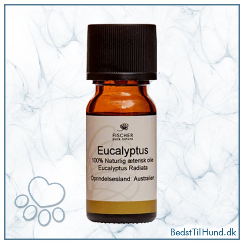 Eukalyptus Olie, 10ml, FNP