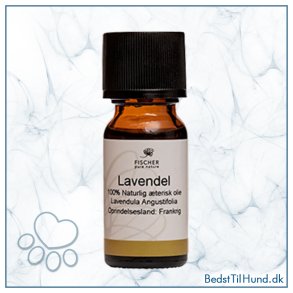 Lavendel Olie, 10ml, FNP