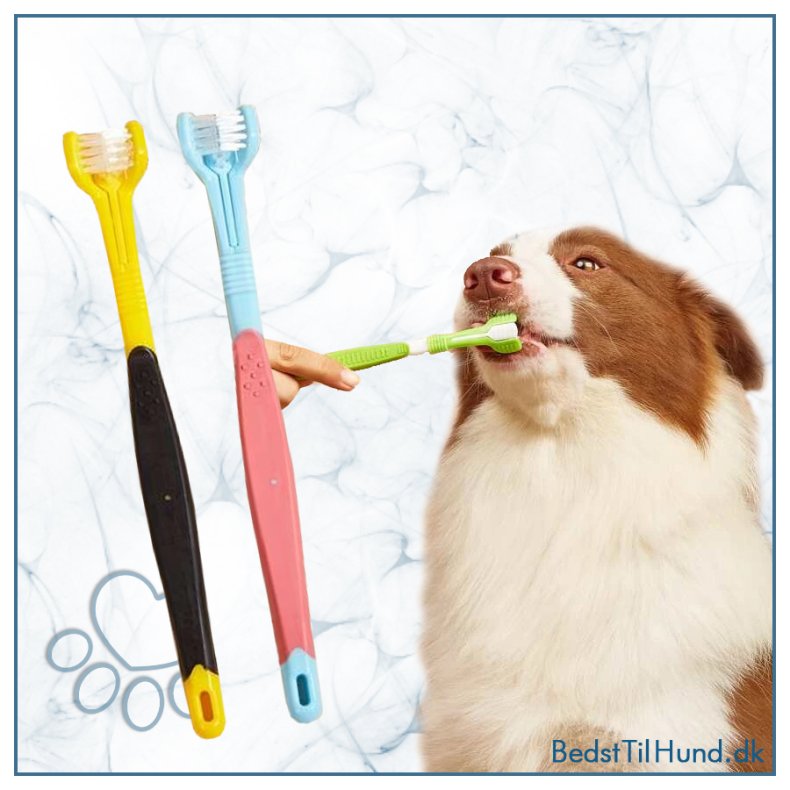 Hundetandb�rste