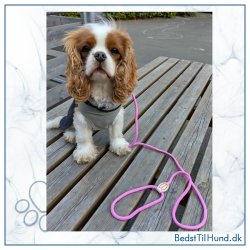 Retrieverline, 6mm, med dobbelt stop