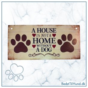 Skilt, A house