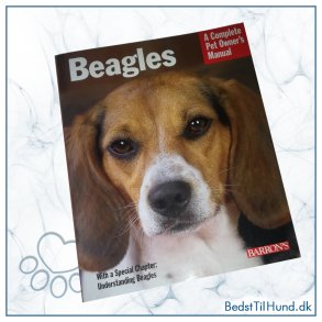 Bog, Beagle