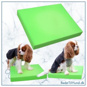 Balancepude