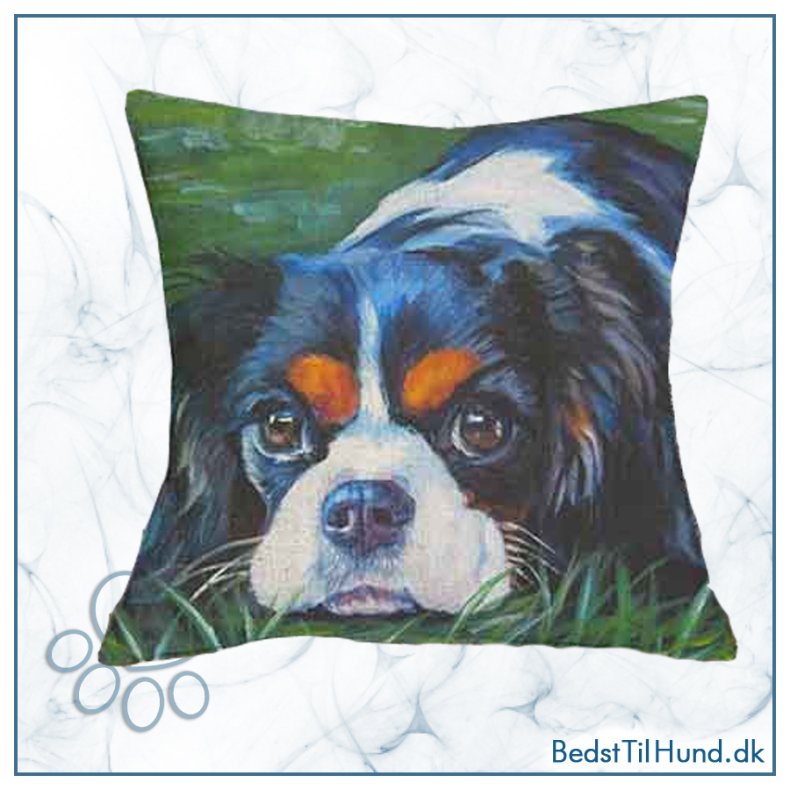 Pudebetr�k, Cavalier