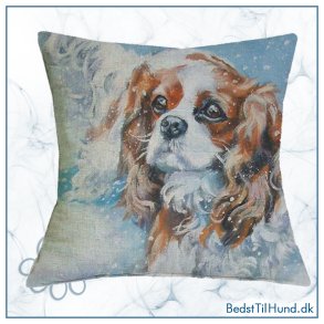 Pudebetr�k, Cavalier