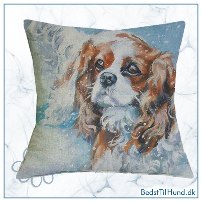 Pudebetr�k, Cavalier