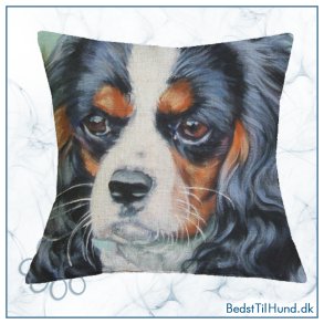 Pudebetr�k, Cavalier