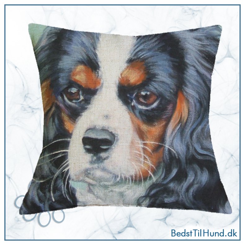 Pudebetr�k, Cavalier