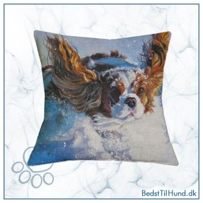 Pudebetr�k, Cavalier