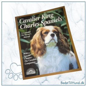 Bog, Cavalier King Charles Spaniel
