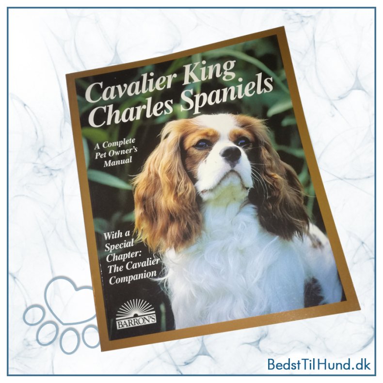 Bog, Cavalier King Charles Spaniel
