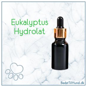 Eucalyptus hydrolat, 10 ml