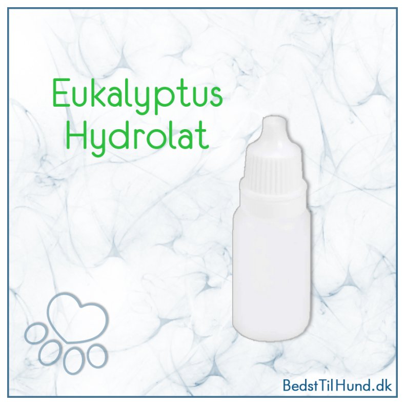 Eucalyptus hydrolat, 10 ml, plastflaske