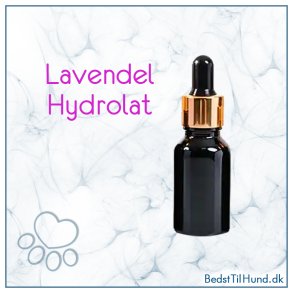 Lavendel hydrolat, 10 ml