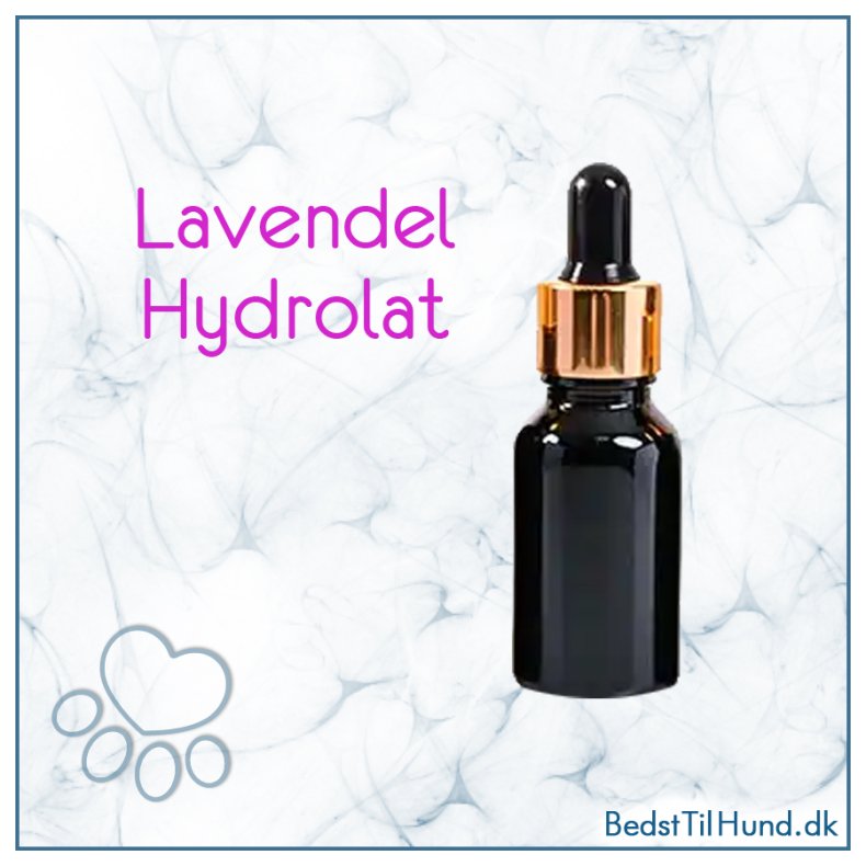 Lavendel hydrolat, 10 ml