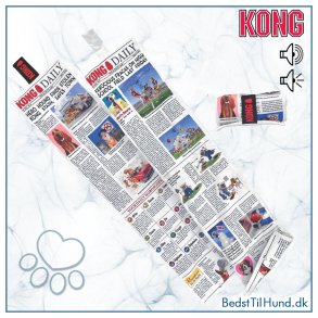 KONG Daily Newspaper, XL