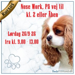 Kursus, P� vej til kl. 2 eller �ben