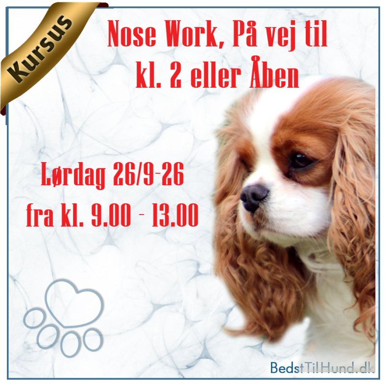 Kursus, P� vej til kl. 2 eller �ben