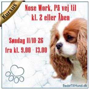 Kursus, P� vej til kl. 2 eller �ben