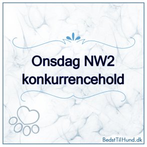 Nose Work - NW2, Vejle, Onsdag