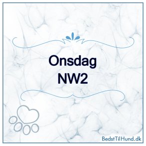 Nose Work - NW2, Vejle, Onsdag