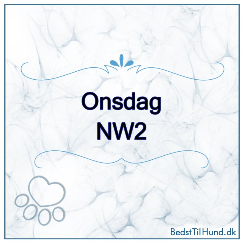 Nose Work - NW2, Vejle, Onsdag