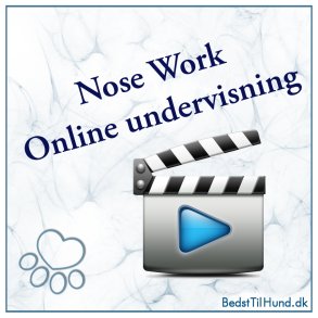 Online undervisning