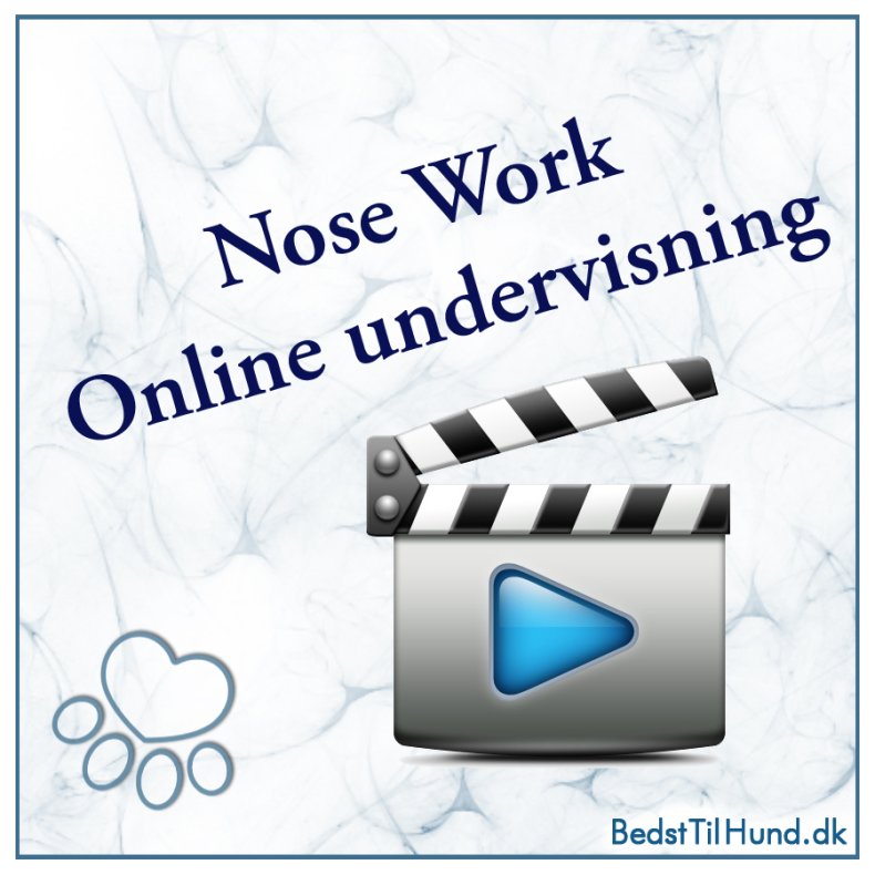 Online undervisning