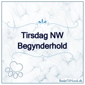Nose Work - Begynderhold