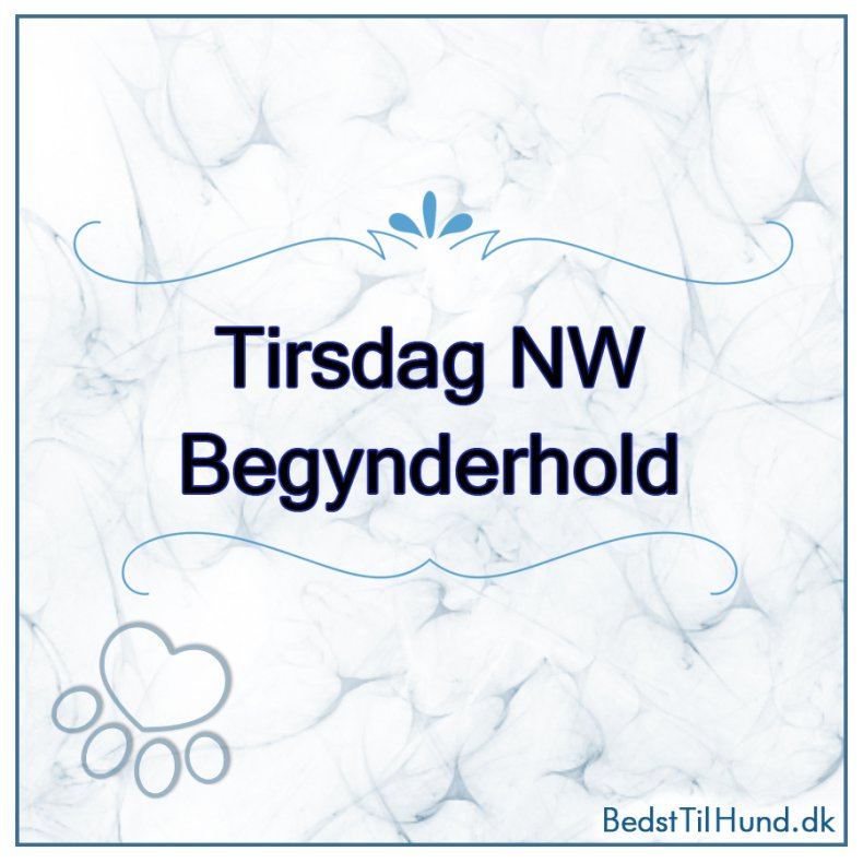 Nose Work - Begynderhold