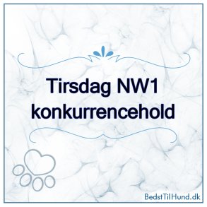 Nose Work - NW1, Vejle, Tirsdag